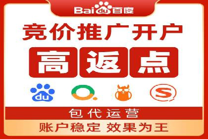 SEM推广公司案例：助力企业实现品牌价值提升
